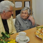 Pozvánku k setkání přijaly pamětnice konce druhé světové války Libuše Strouhalová z Náměště nad Oslavou a Marie Matoušková z Koněšína, jejichž vzpomínky jsou součástí výstavní kolekce.