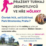 molkky_zari