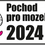 mozek_pochod_jpg