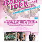 Babicka-roku-Krajske-kolo-2025 den senioru (2) (3)