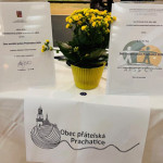 Den sociální práce v Prachaticích (32) - kopie